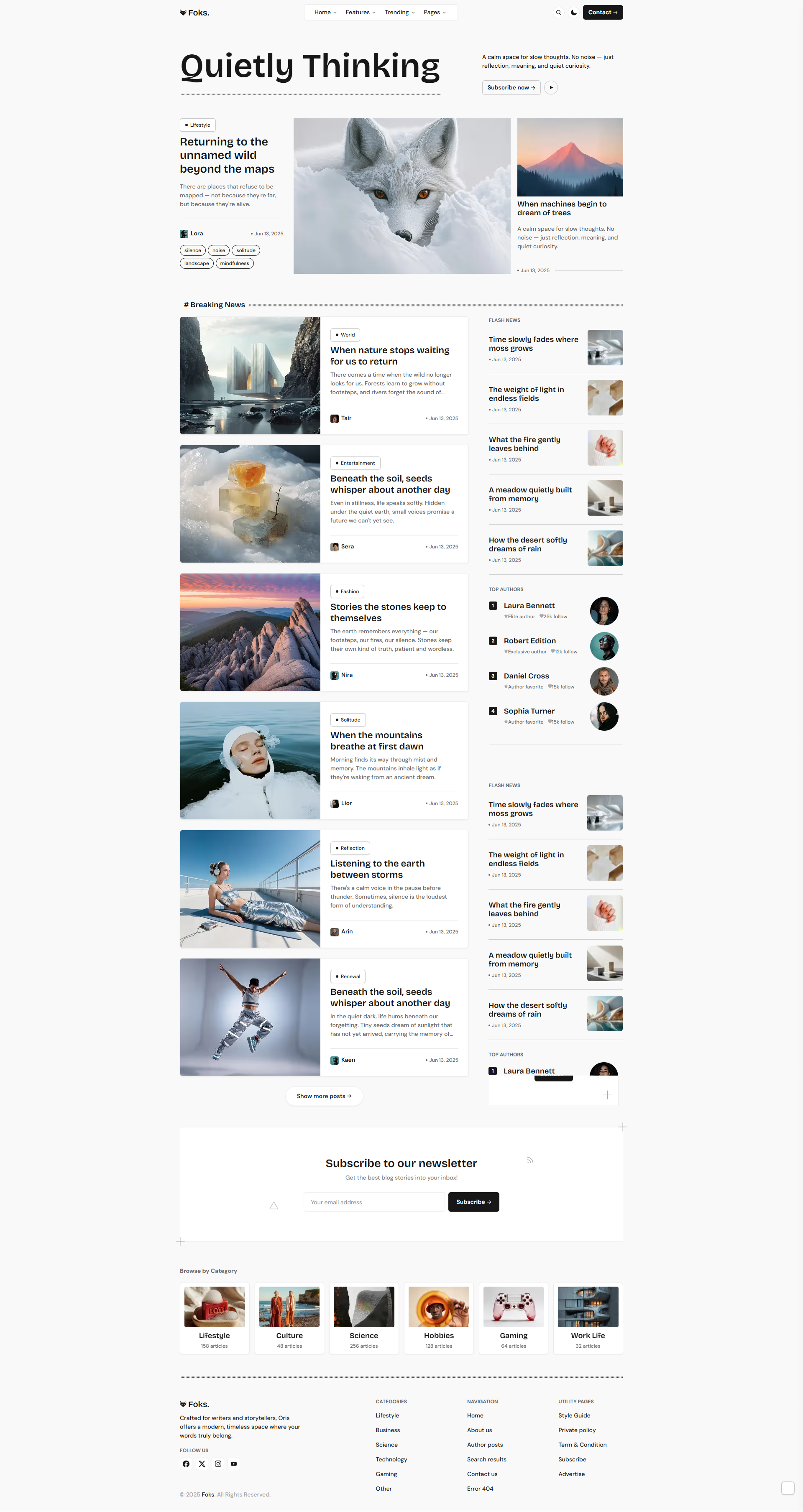 Foks - Lightweight Magazine Blog