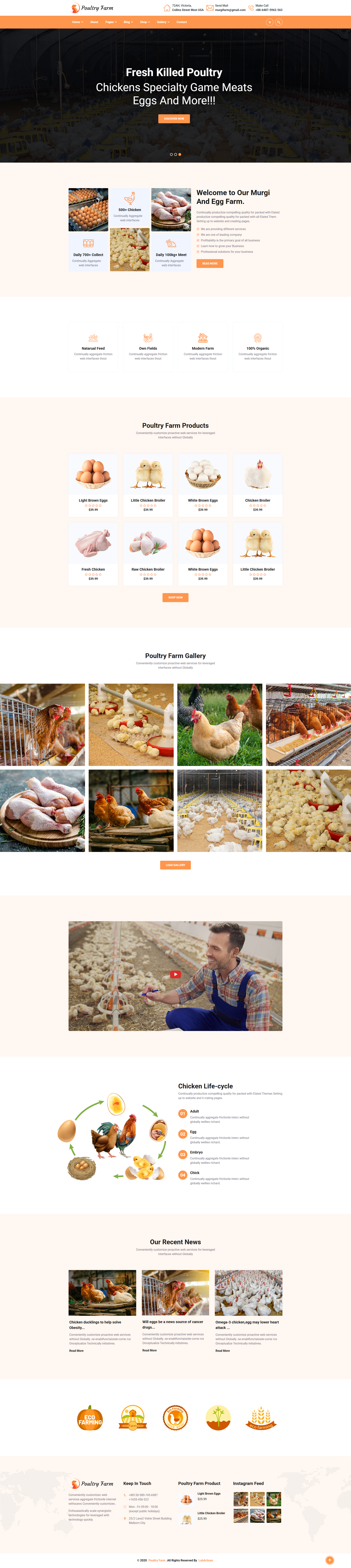 PoultryFarm - Organic 2